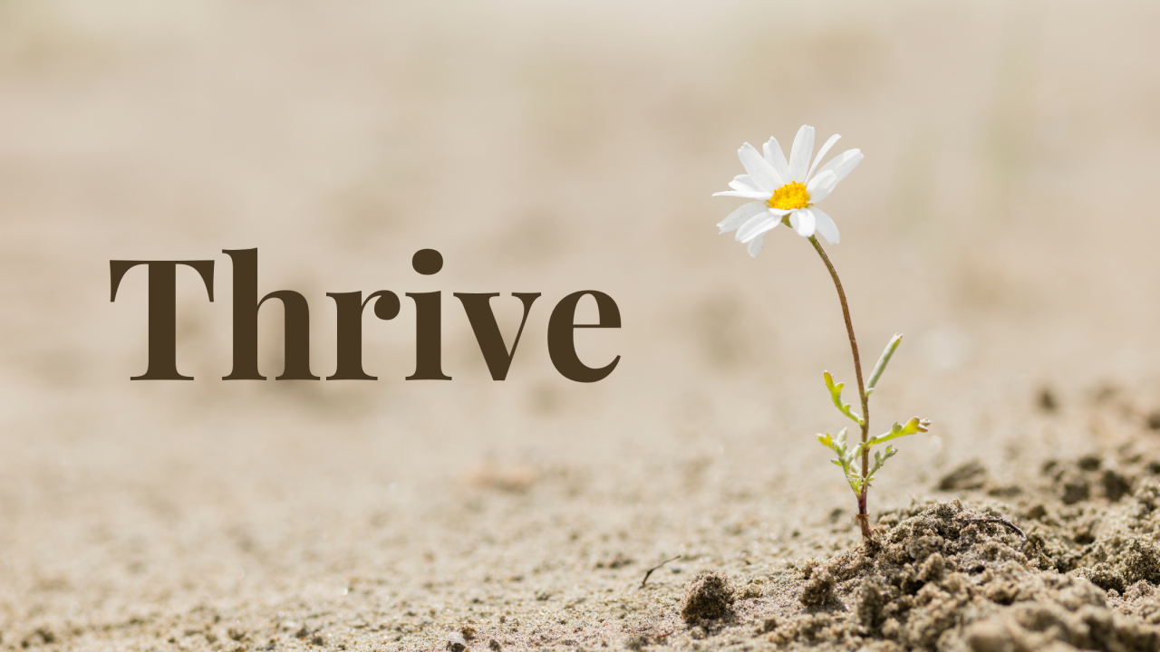 thrive-1